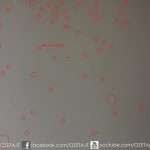 Reflex_usata_sensore_sporco